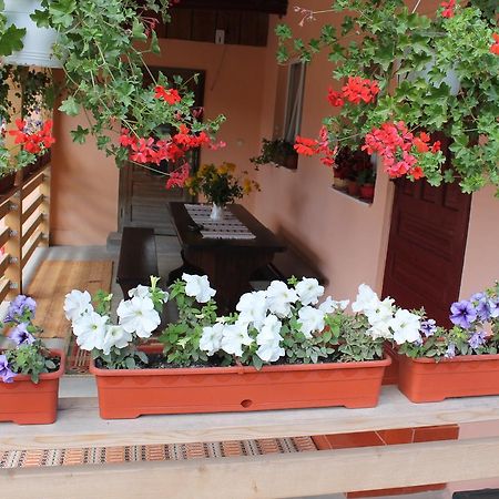 Casa Andreia Villa Gura Humorului Kültér fotó